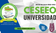 UNIVERSIDAD CESEEO